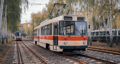  Похожий на лаз 4202 