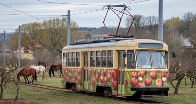  Кони в яблоках .