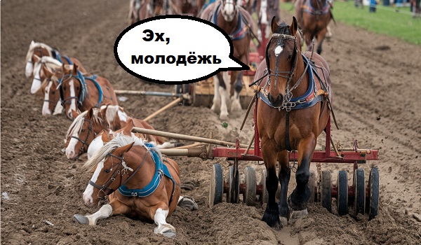 Самая надежная модель робота-пылесоса xiaomi Самая надежная модель робота-пылесоса xiaomi